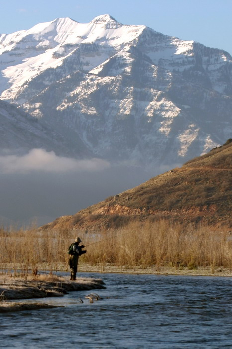 On Critique and Unity