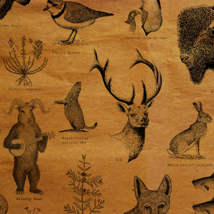 Album Review: Ursus Oreamnos Americanus by Grizzly Goat