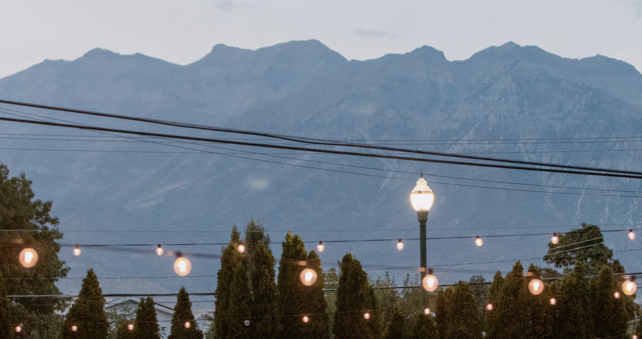 Shows This Week (10/10/22-10/15/22)