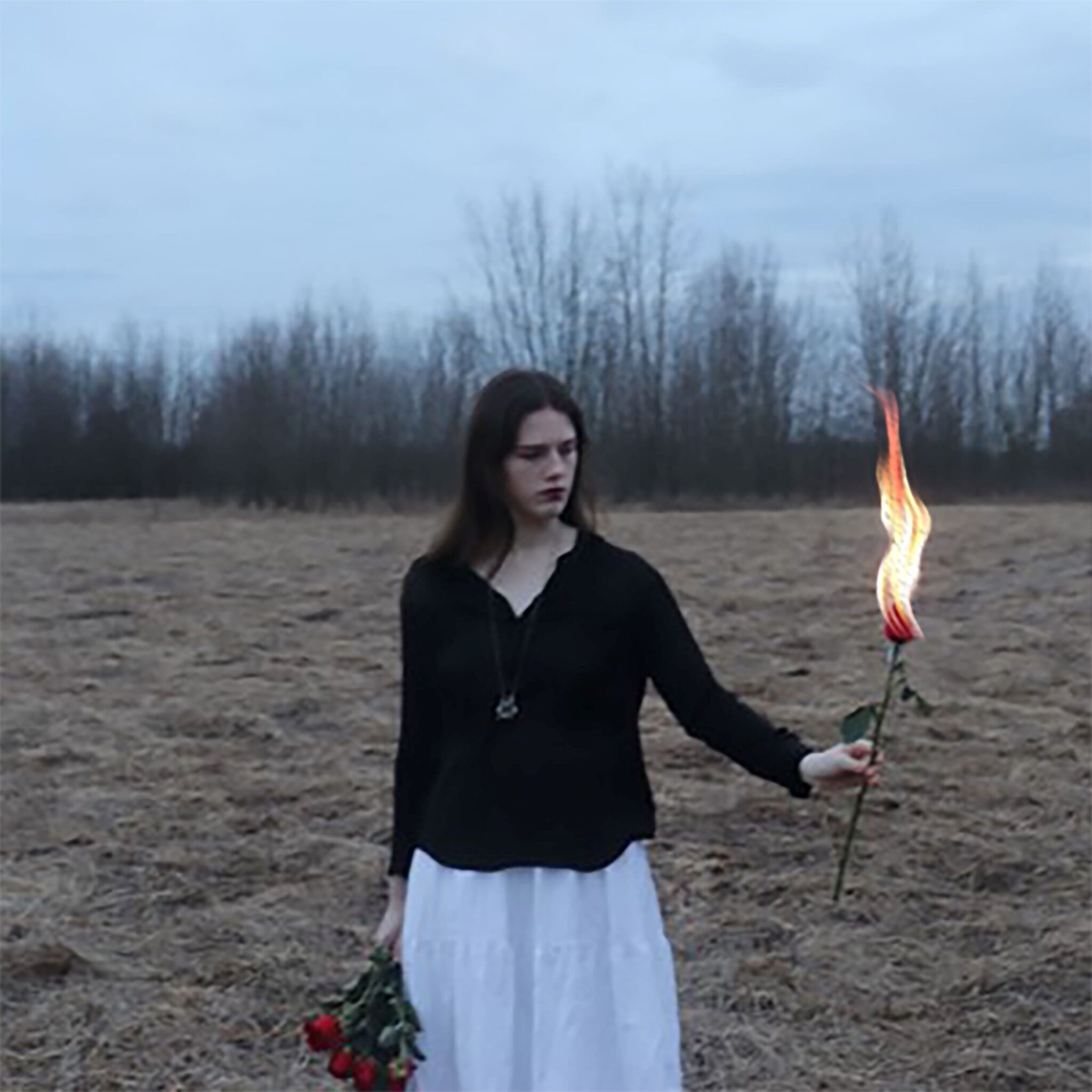 Non-Utah Indies We Dig: “Fervor” by Sophia Stephens