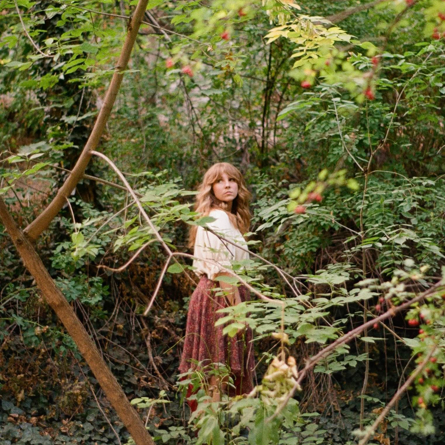 Album Review: Walks & Gardens by Cactus Tree