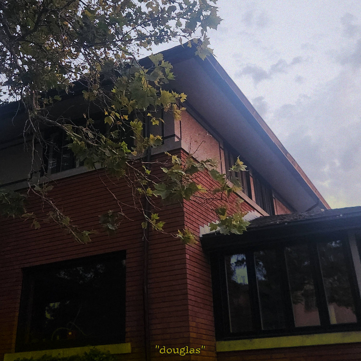 Album Review: Douglas by Glue Coast